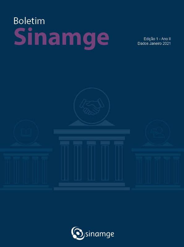Boletim Sinamge Ano 2 edição 1