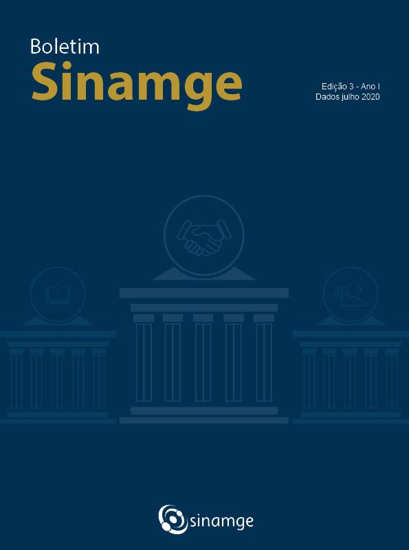 Boletim Sinamge Ano 1 edição 3