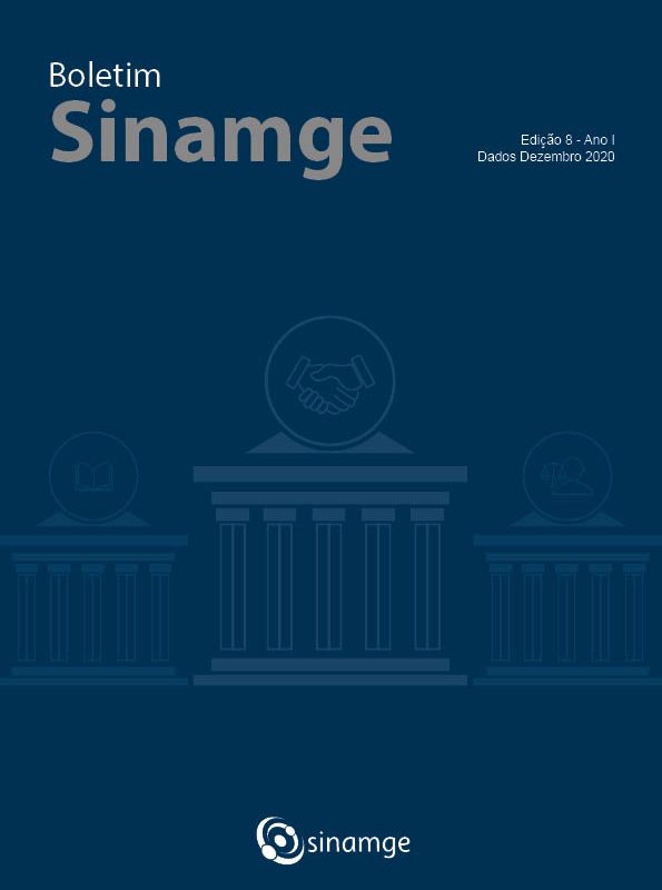 Boletim Sinamge Ano 1 edição 8