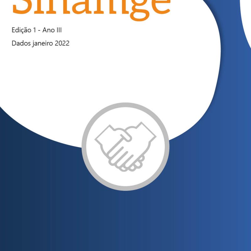 Boletim Sinamge Ano 3 edição 1