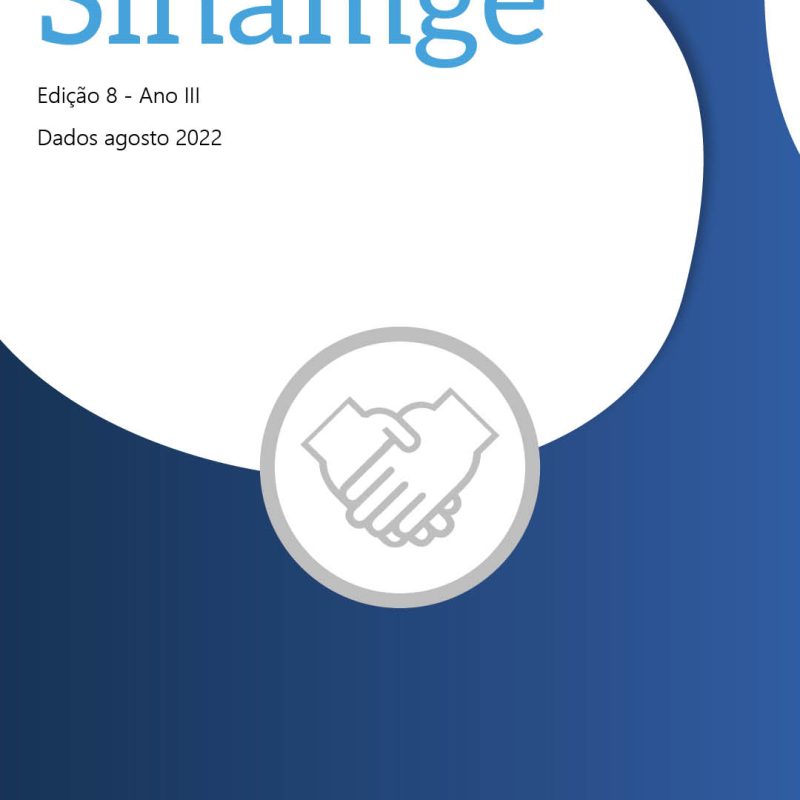 Boletim Sinamge – Ano III Edição 8