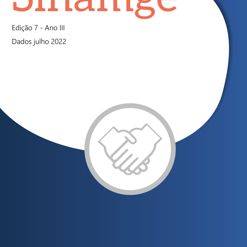 Boletim Sinamge – Ano III Edição 07