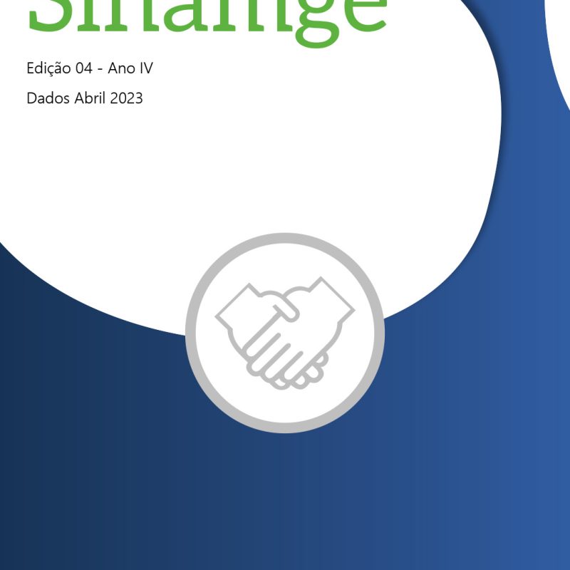 Boletim SINAMGE – Ano IV – Edição 4