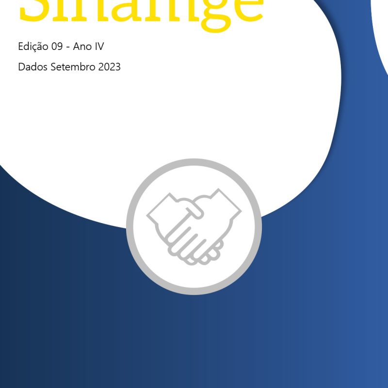 Boletim SINAMGE – Ano IV – Edição 9